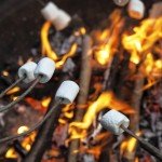 Camping in the city!