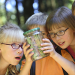kids in woods looking into jar Thumbnail