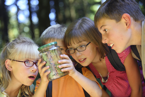 kids in woods looking into jar