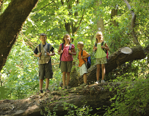 kids out in a forest