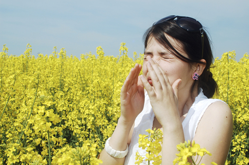 girl sneezing allergies