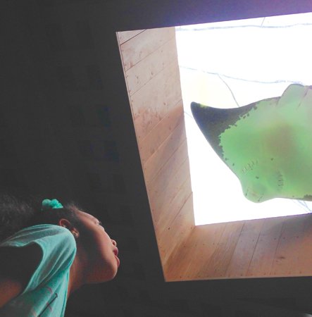 Stingray at Seaworld