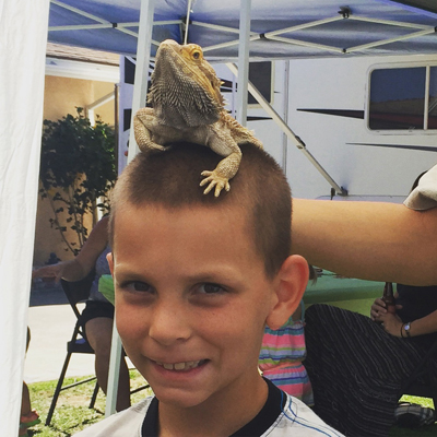 reptile-zoo-prehistoric-pet