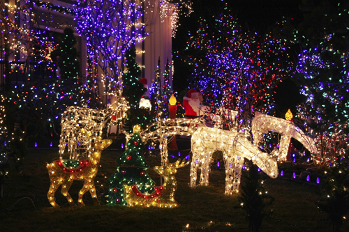 Christmas lawn lights