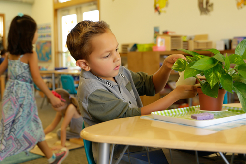 Heritage Montessori Lake Forest