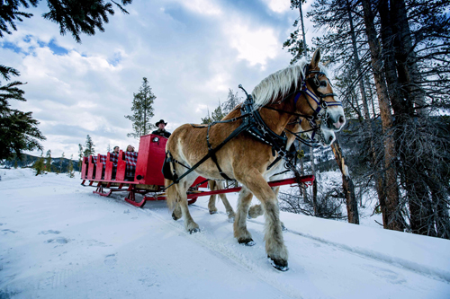 Horse Drawn Sleigh Ride Dinner