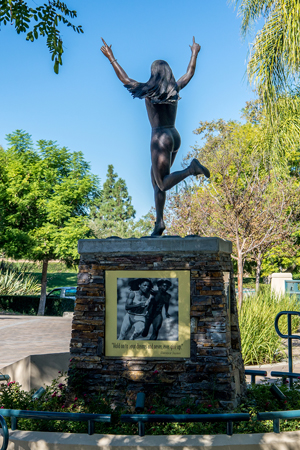 Mission Viejo My Home