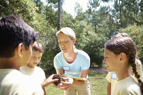 kids at camp looking at pinecone