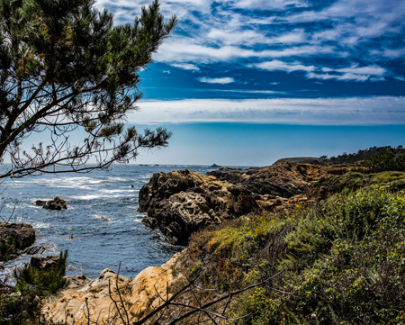 Point Lobos Headland