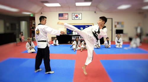 Team Kwon Taekwondo