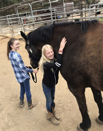 Irvine Regional Park