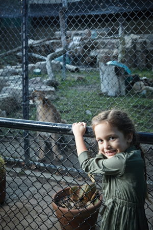Dyllan Stanfield checks out the mountain lions at the OC Zoo
