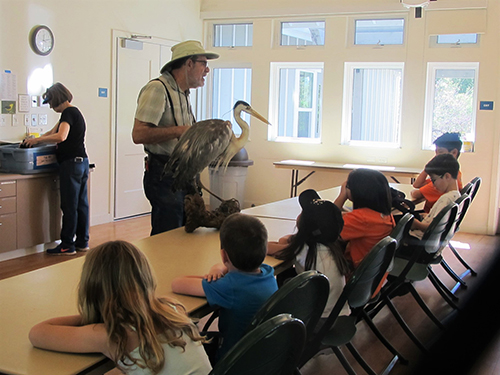 kids learning about wildlife
