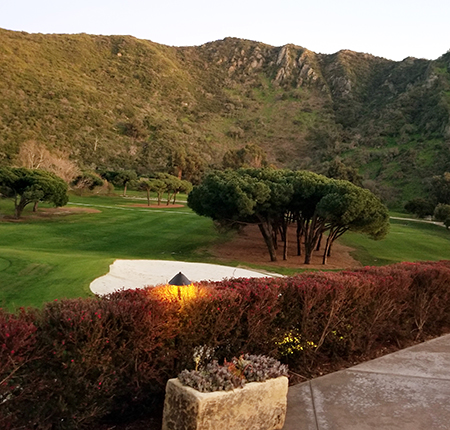 Harvest Restaurant golf course view