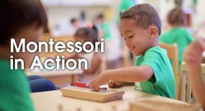 Montessori in Action Slideshow