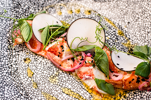 BELLO by Sandro Nardone - Photo by Lisa Hu Chen