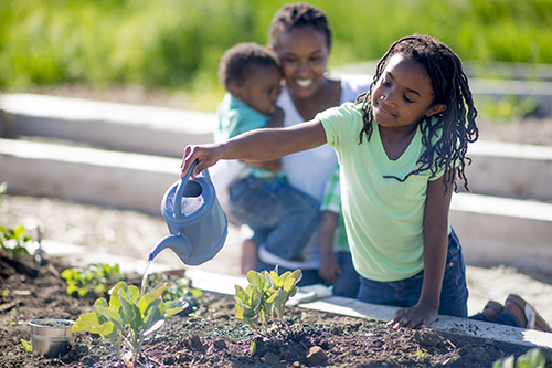 young girl watering garden with mom and little brother in the background