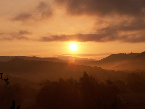 Sunset at OC Parks Virtual Experience