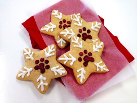 Gifts for Pets Jackboys Dog Bakery Festive Treats