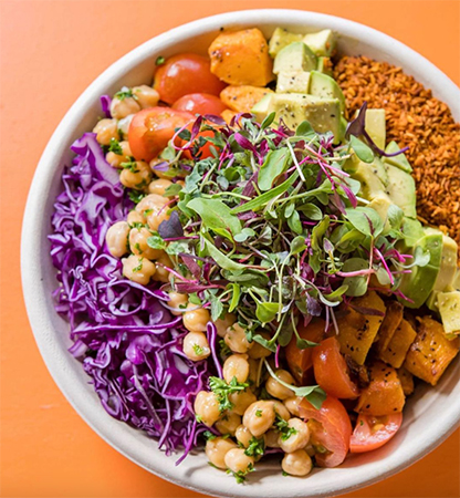 Vibe Organic Kitchen and Juice