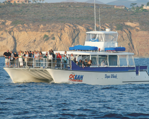 Mother's Day Cruises Dana Point