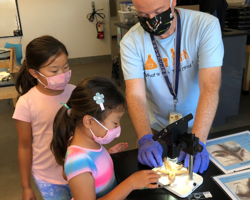 STEM Bionerds Orange County