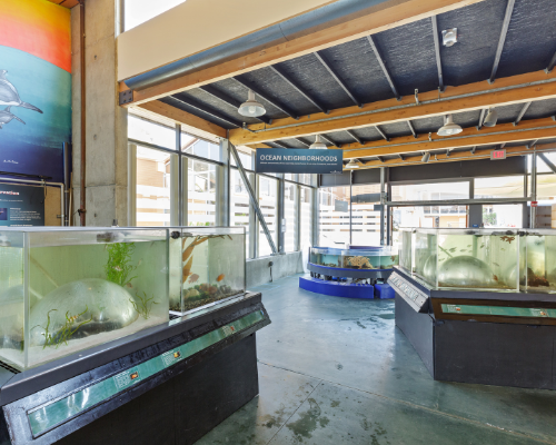 STEM Bogart Ocean Institute OC