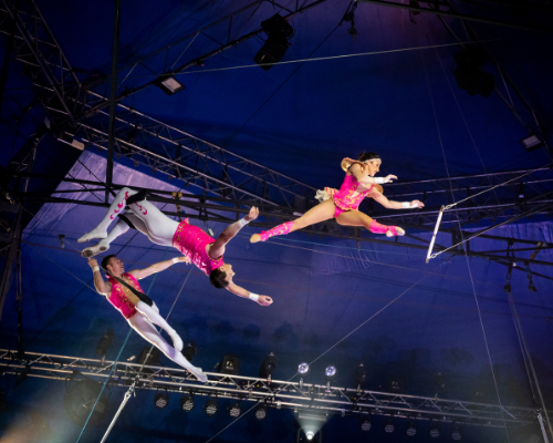 Circus Vargas’ amazing new 2021 production “Mr. V’s Big Top Dream” at Laguna Hills Mall September 17 - 26
