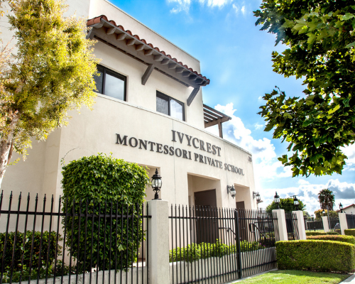 Best Montessori School IvyCrest Montessori Private School