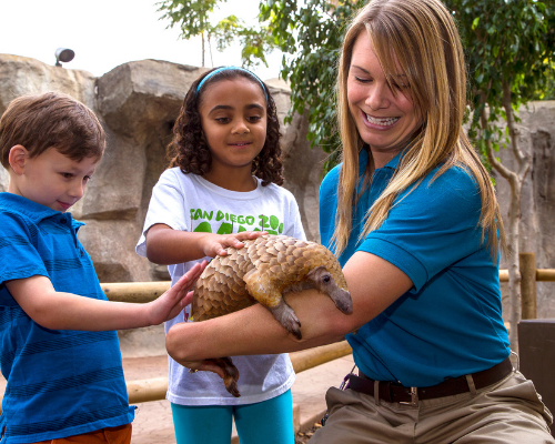 Best Zoo San Diego Zoo