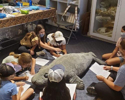 Parenting Marine Mammal Center Summer Camp kids learn from seals they rescue and rehab