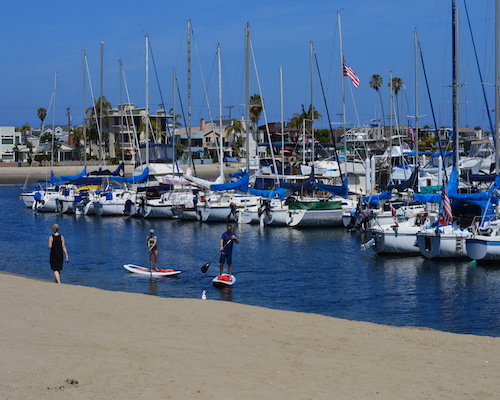 Mission Bay paddleboarding