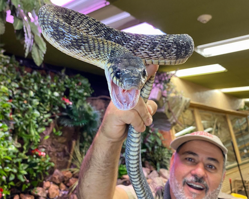 Best Reptile Education Center-The Reptile Zoo_Prehistoric Pets-Photo by Prehistoric Pets