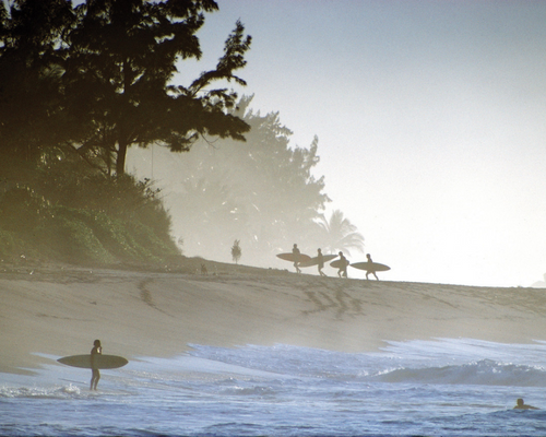 Greg MacGillivray surfers photo