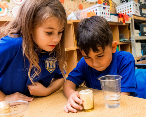 Best Charter School Vibrant Minds Charter School