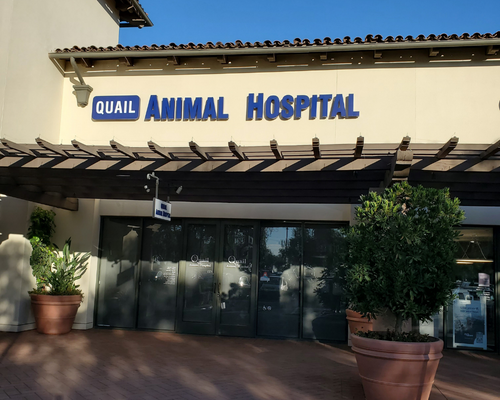 Best Pet Vet-Quail Animal Hospital-Photo by Quail Animal Hospital