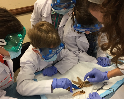 Best Science Tech Camp-Bionerds-Photo by Bionerds