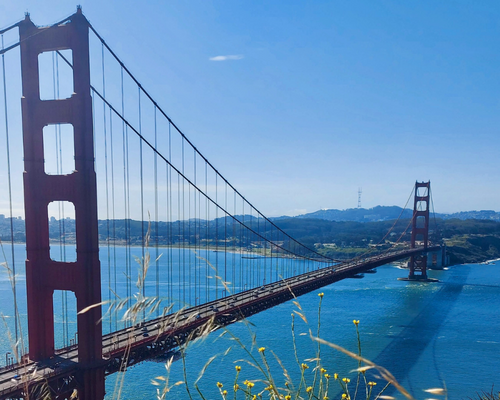 The Golden Gate Bridge as seen from the historic Armory. It's a little tricky to find this spot, but it pays off with a unique angle of the City's signature monument.