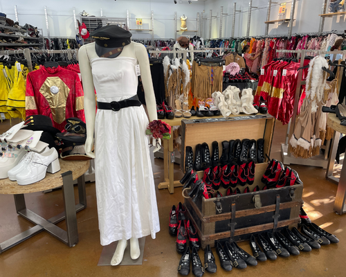 Goodwill Halloween Clothing National Costume Swap Day