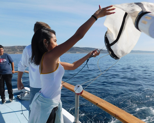 Students deploying a plankton net
