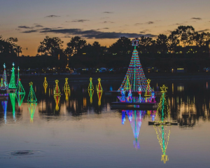 Floating tree lights from Lighting of the Bay at Newport Dunes