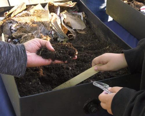 compost dirt