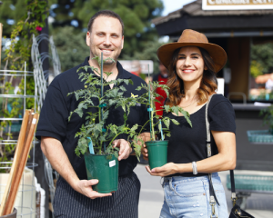 a man and a woman each holding a tomato plant at Tomatomania!