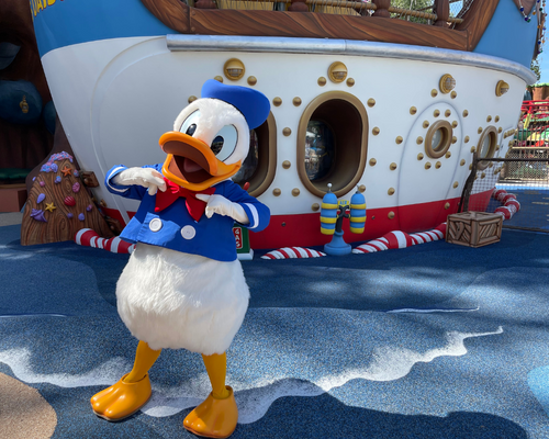 Donald at Goofy's How-to-Play Yard