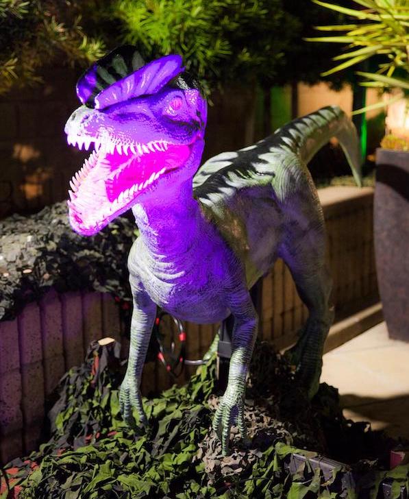 Jurassic Trails & Tales