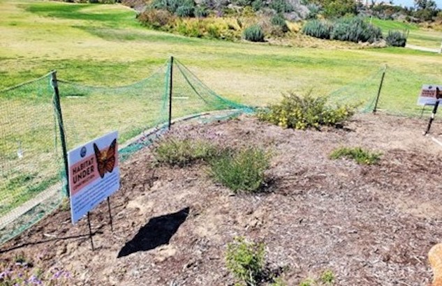Monarch Butterfly Habitat Build