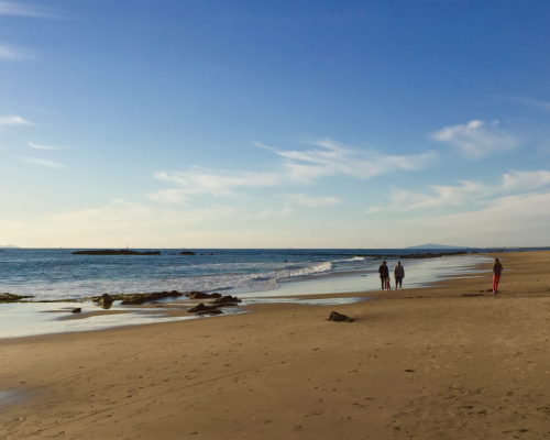 crystal cove beach