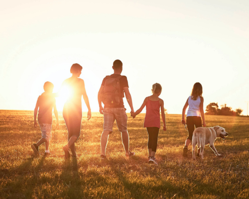 family walking on grass with dog