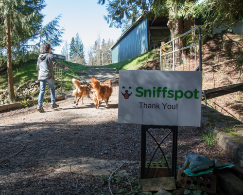 Sniffspot rental yards for dogs