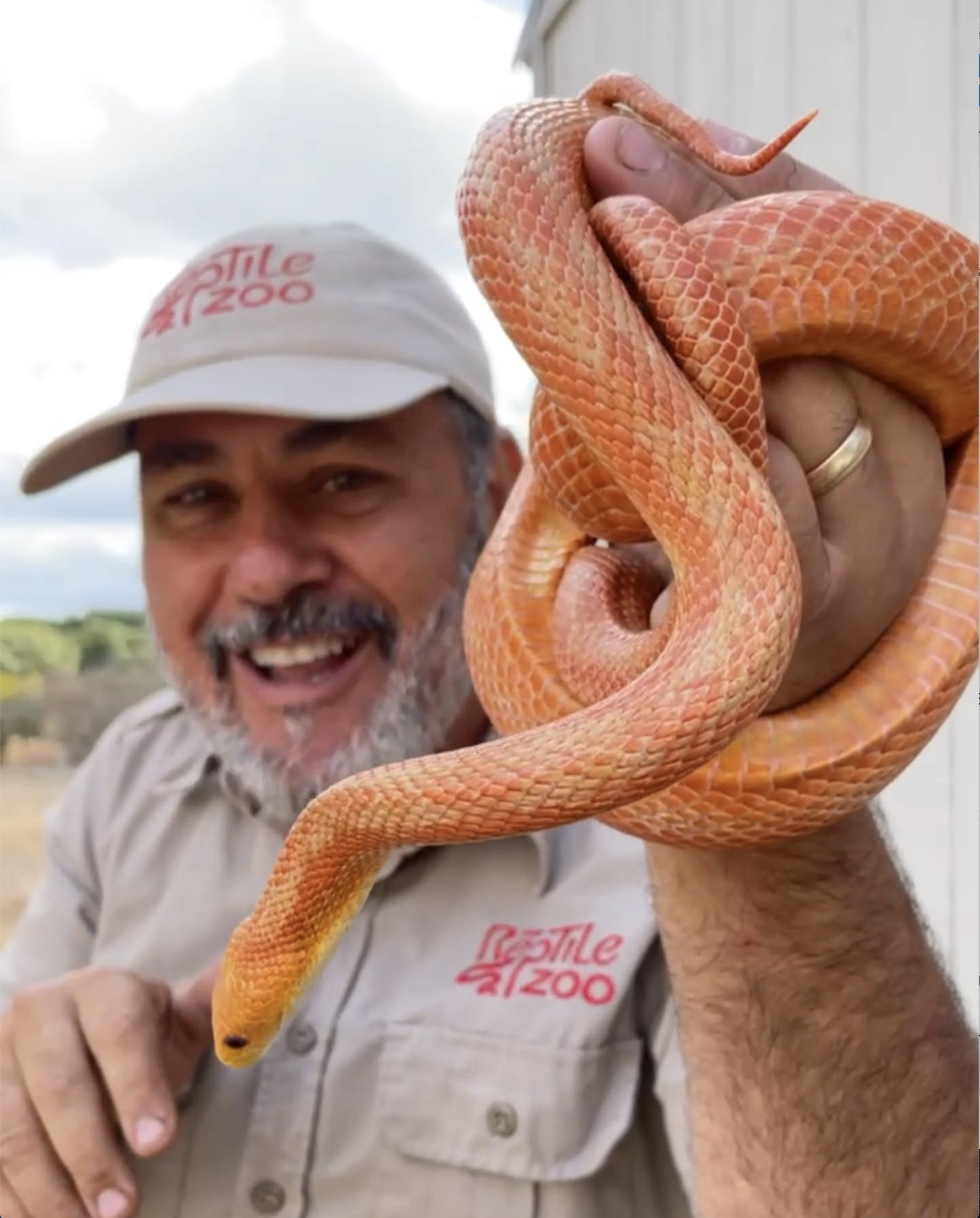 The Reptile Zoo/Prehistoric Pets Best Party Entertainment